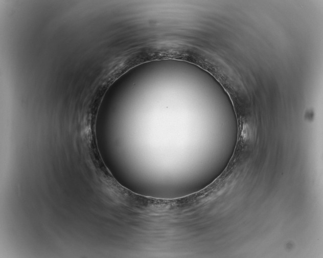 X0000102540771200808151642