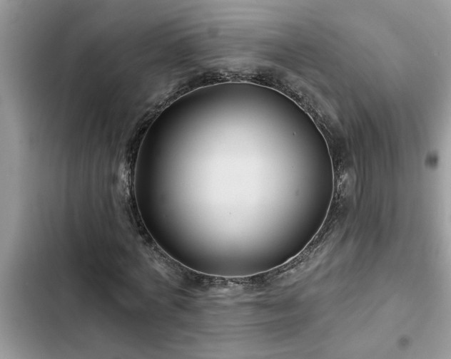 X0000102540772200808151642