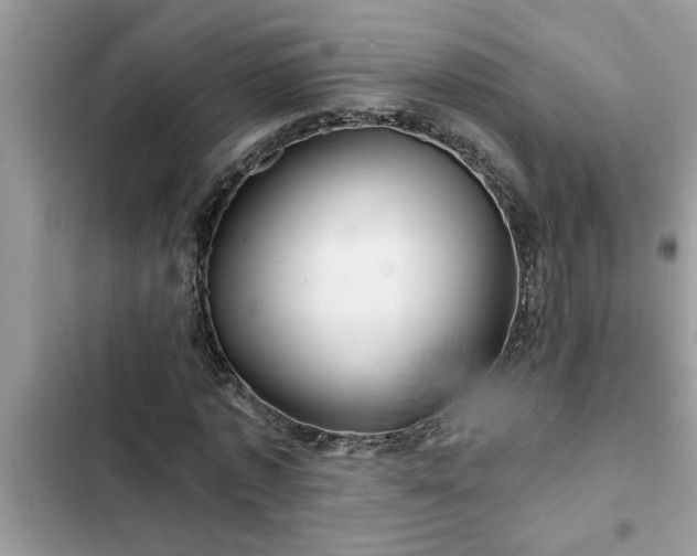 X0000102540773200808151642