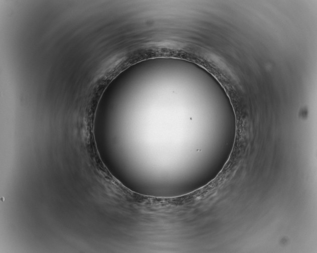 X0000102540774200808151642