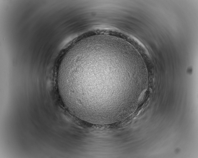 X0000102540775200808151642