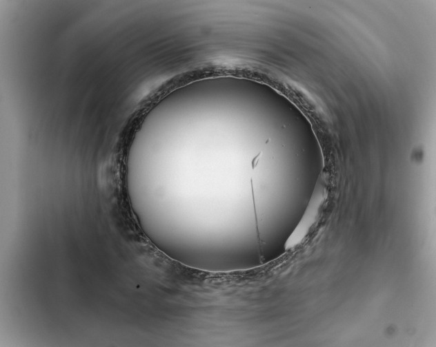 X0000102540776200808151642