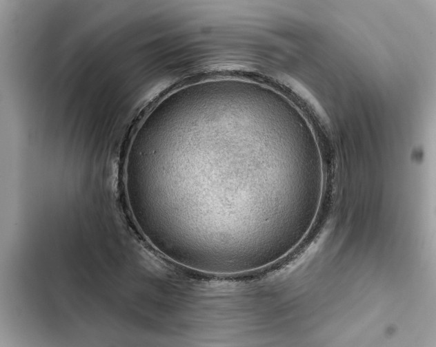 X0000102540777200808151642