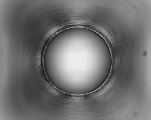 X0000102540778200808151642