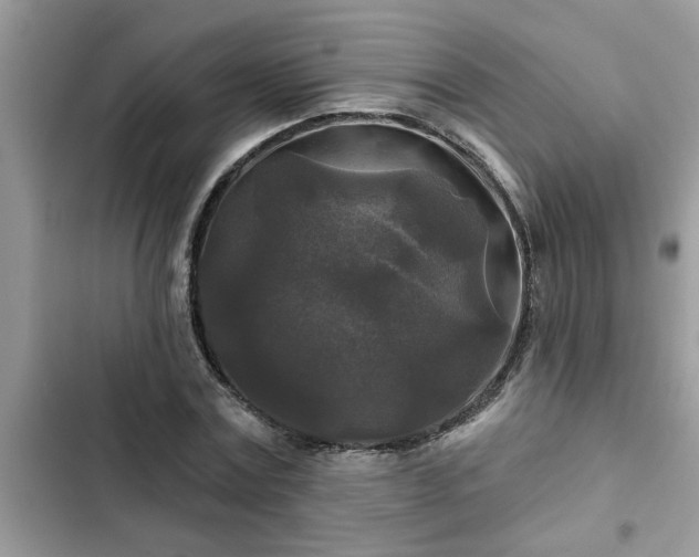 X0000102540779200808151642