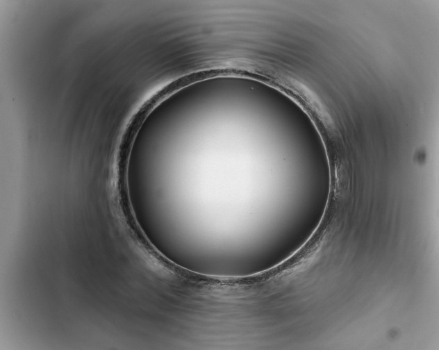 X0000102540780200808151642