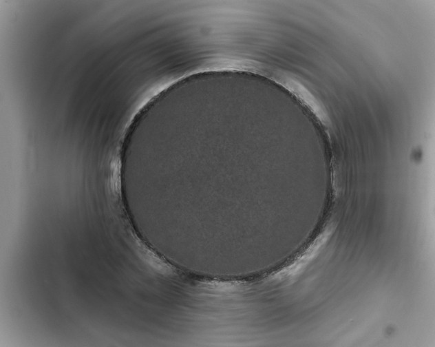 X0000102540781200808151642