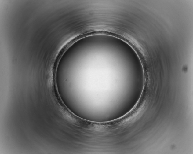 X0000102540782200808151642