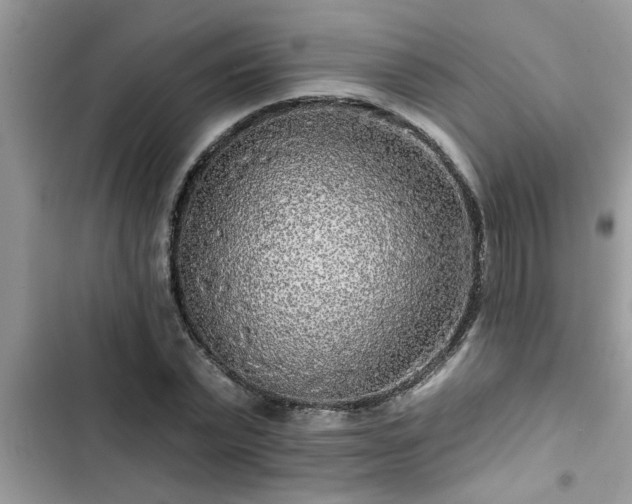 X0000102540783200808151642