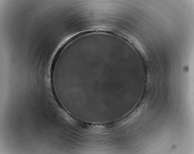 X0000102540784200808151641