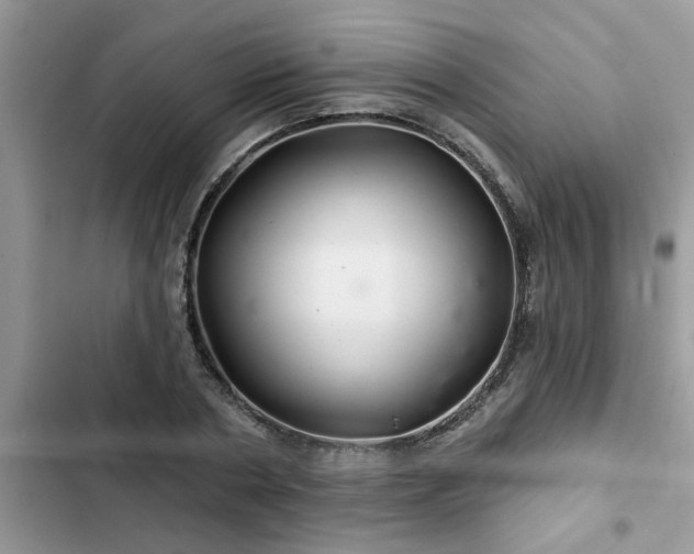 X0000102540786200808151641