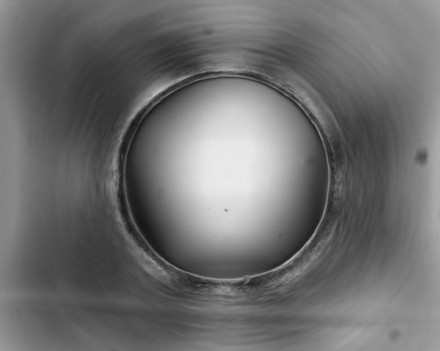 X0000102540787200808151641