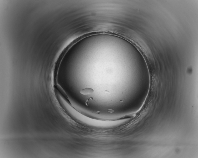 X0000102540788200808151641