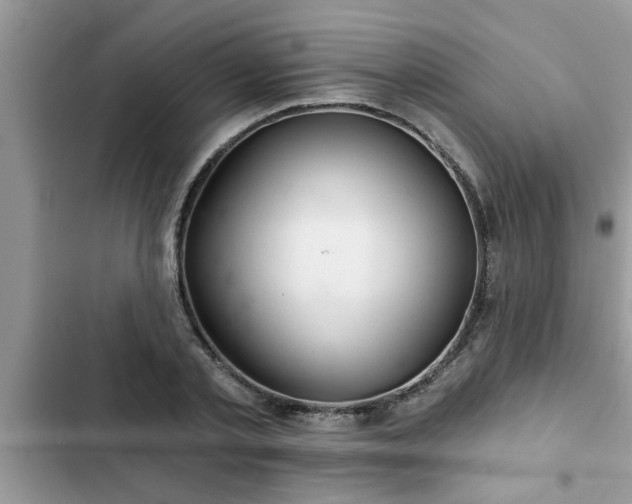 X0000102540789200808151641