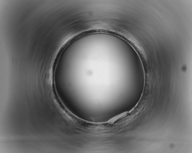 X0000102540791200808151641