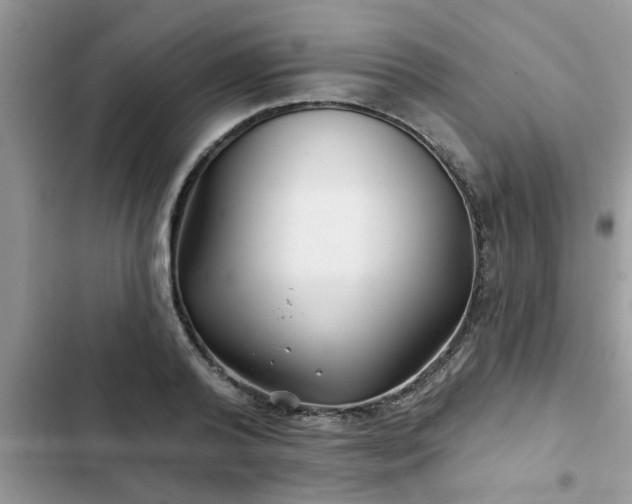 X0000102540792200808151641