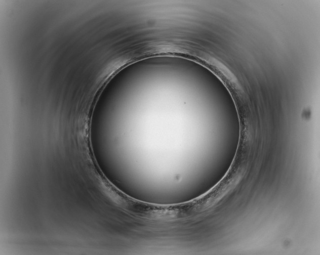 X0000102540793200808151641