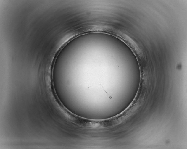 X0000102540794200808151641