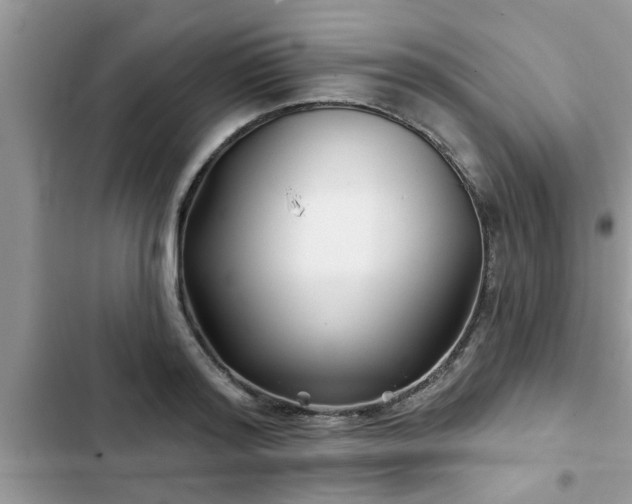 X0000102540796200808151641