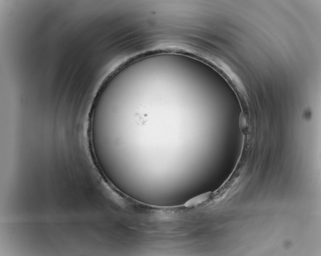 X0000102540799200808151641