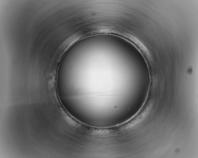 X0000102540801200808151641