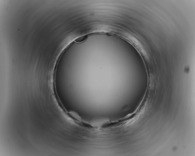 X0000102540802200808151641