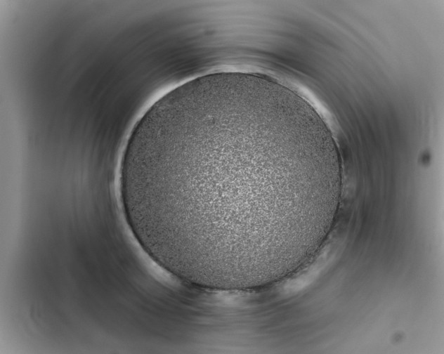 X0000102540803200808151641