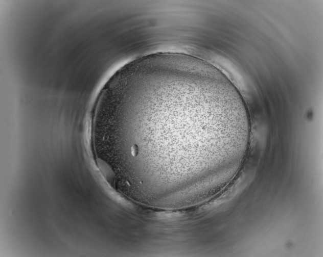 X0000102540804200808151641