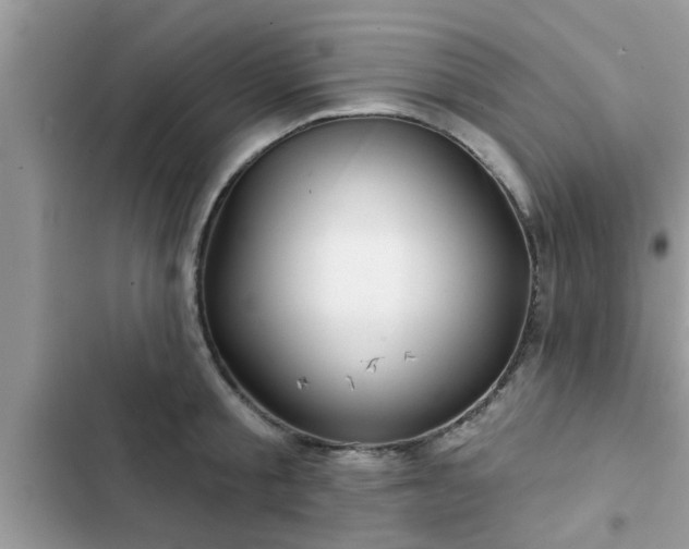 X0000102540805200808151641