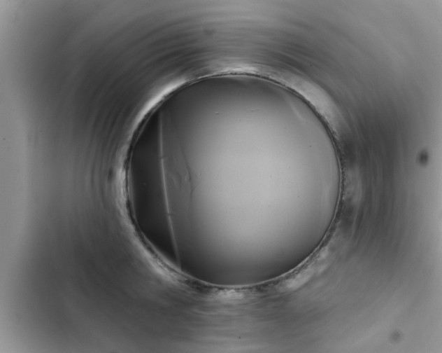 X0000102540806200808151641
