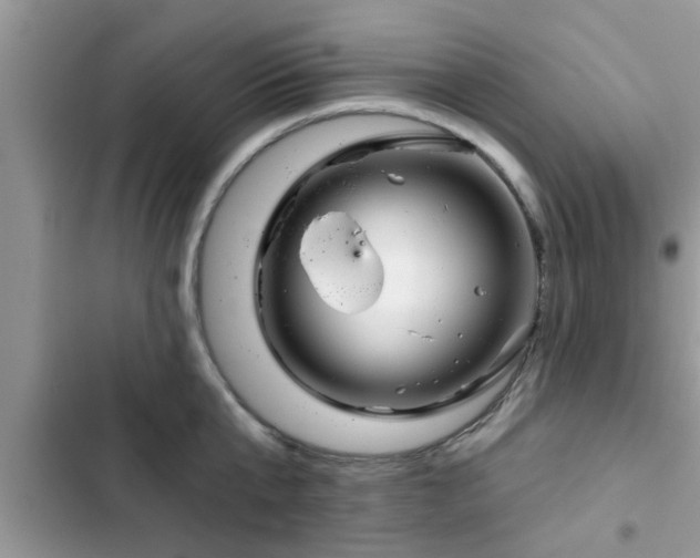 X0000102540807200808151641