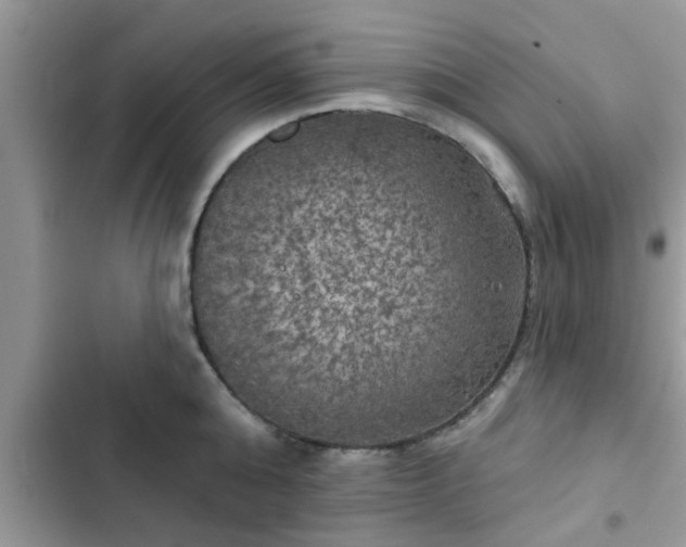 X0000102540808200808151641