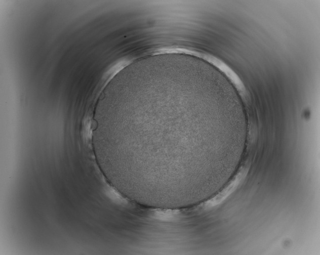 X0000102540809200808151641
