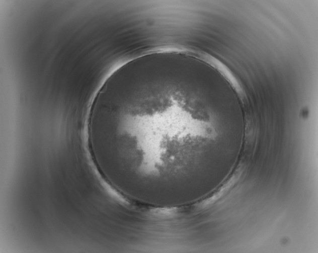 X0000102540810200808151641