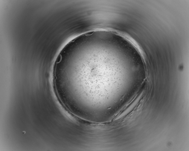 X0000102540811200808151641