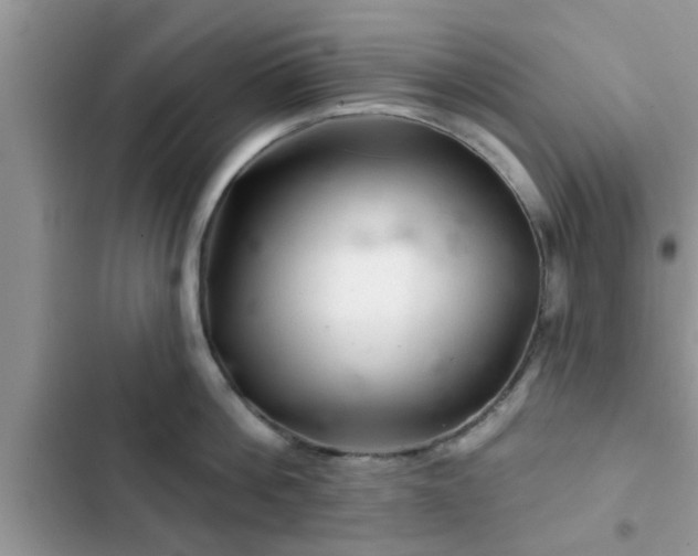 X0000102540812200808151641