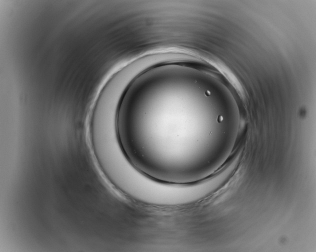 X0000102540813200808151641