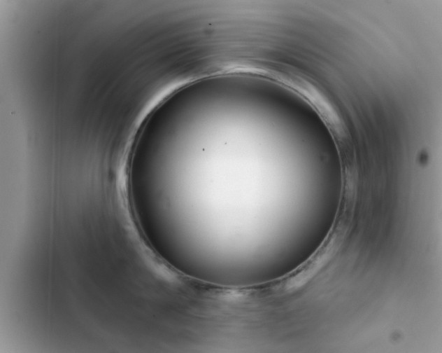 X0000102540814200808151641