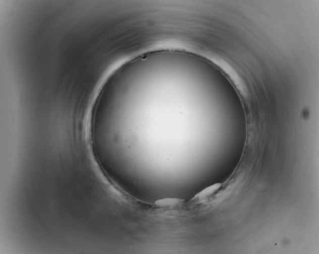 X0000102540815200808151641