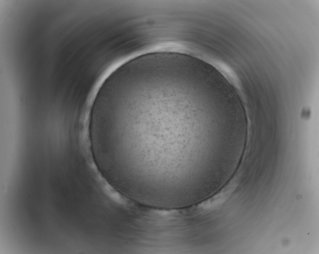 X0000102540816200808151641