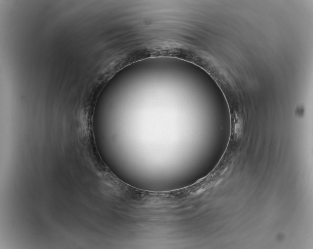 X0000102540819200808151640