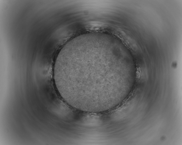 X0000102540820200808151640