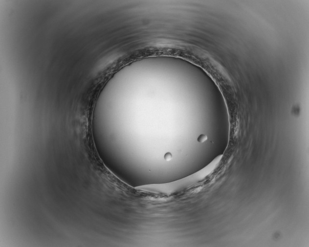 X0000102540821200808151640