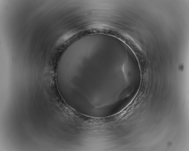 X0000102540822200808151640