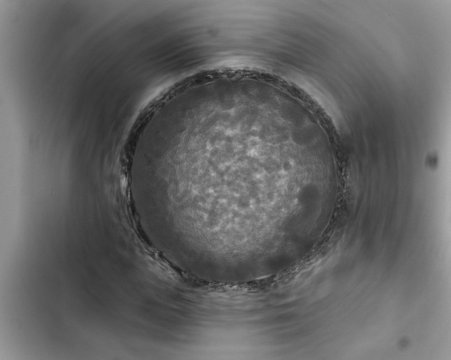 X0000102540823200808151640