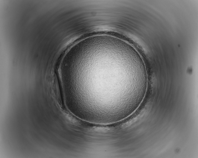 X0000102540825200808151640