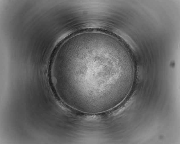 X0000102540826200808151640