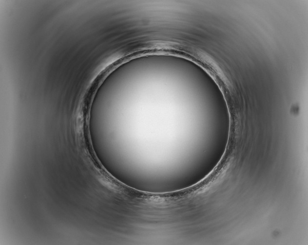 X0000102540827200808151640