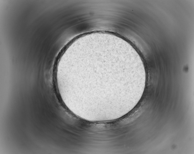 X0000102540828200808151640