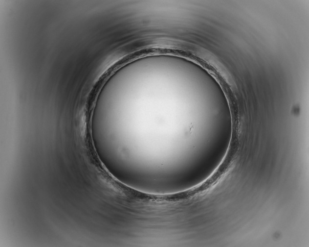 X0000102540829200808151640